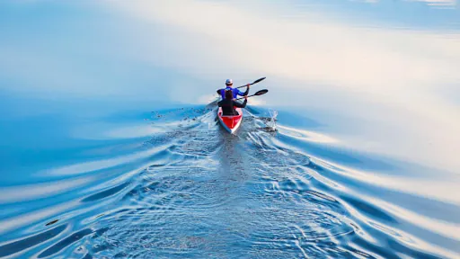 Travel & Experiences